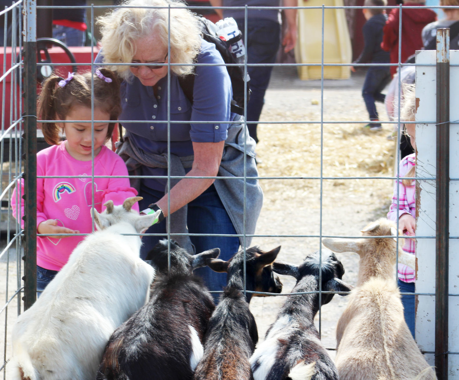 Carolyn Diekfuss and her granddaughter, Adalynn, feed the goats